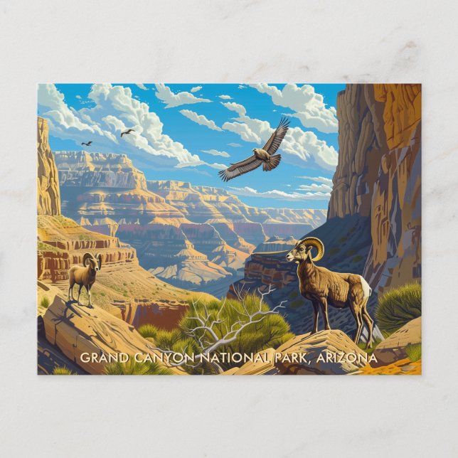 Grand Canyon National Park Wildlife Vintage Art Postcard (Front)