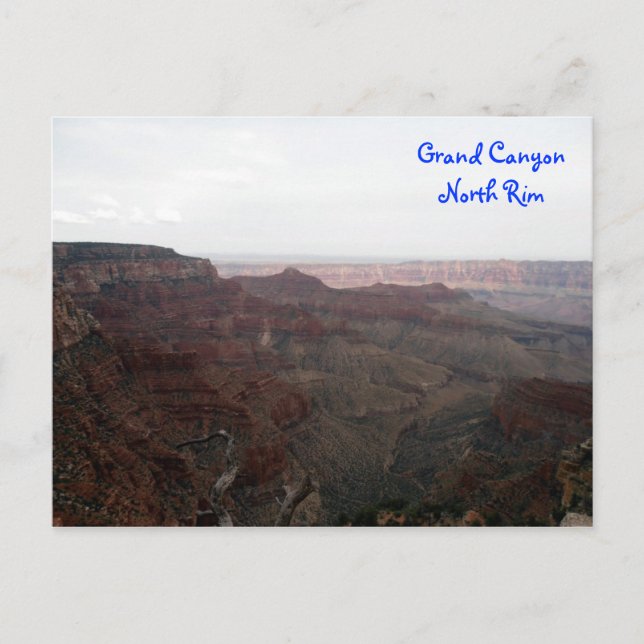 Grand Canyon North Rim Postcard (Front)