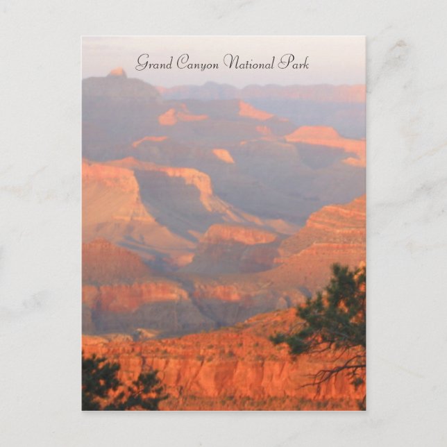 grand canyon np postcard (Front)