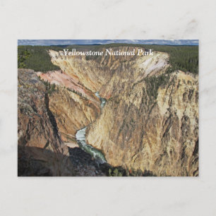 Grand Canyon of the Yellowstone Scenic Postcard