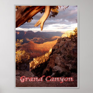 Grand Canyon - Panorama - United States - Poster