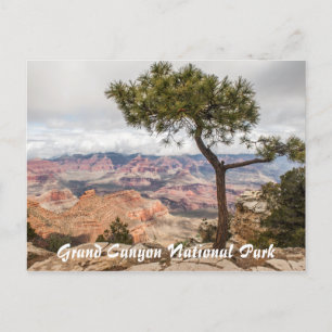 Grand Canyon Postcard