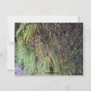 Grand Canyon Postcard