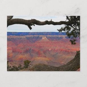 Grand Canyon Postcard