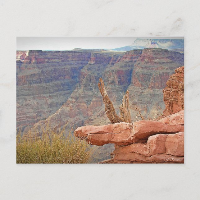 Grand Canyon Postcard (Front)
