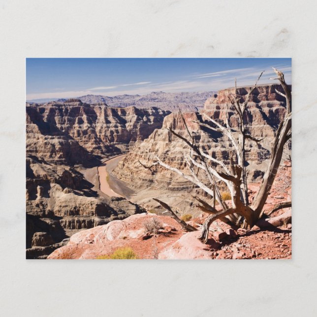 Grand Canyon Postcard (Front)