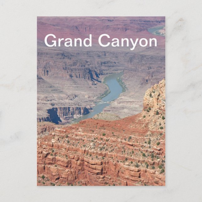 Grand Canyon Postcard! Postcard (Front)