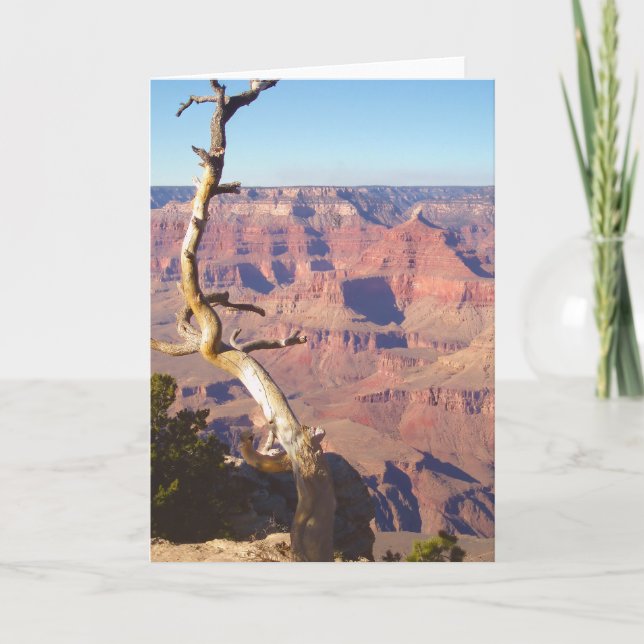 Grand Canyon South Rim Greeting Card (Front)
