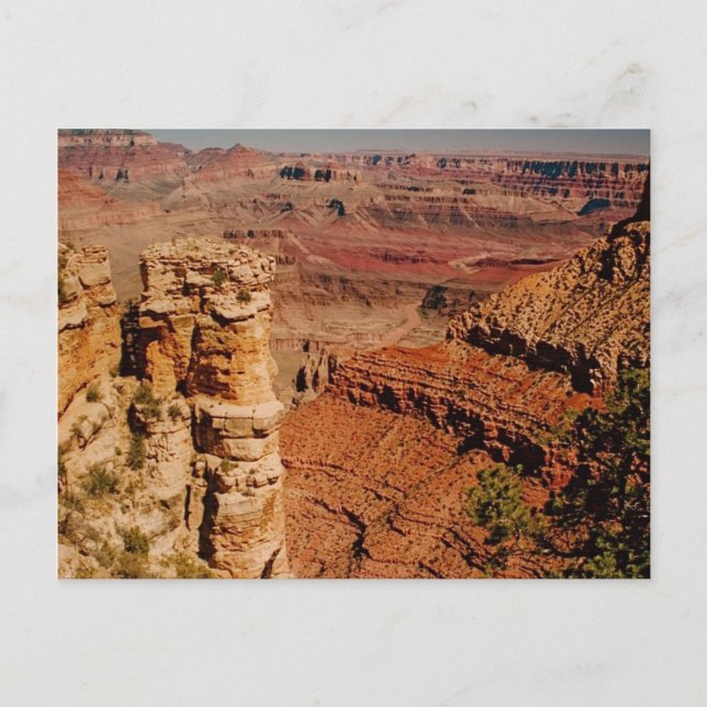 Grand Canyon, South Rim Postcard (Front)