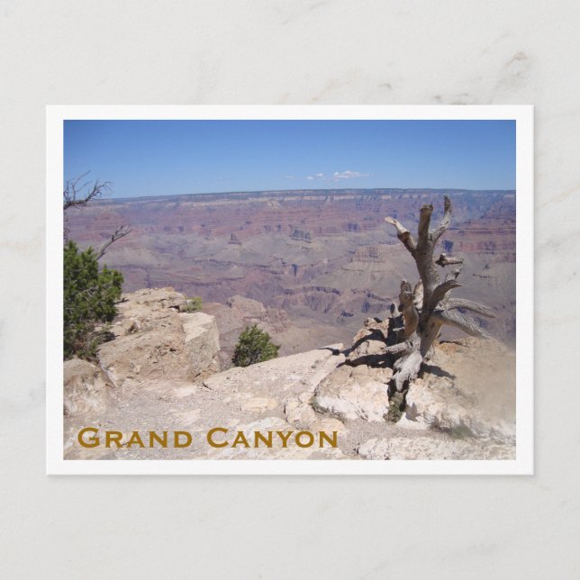 Grand Canyon, South Rim Postcard (Front)
