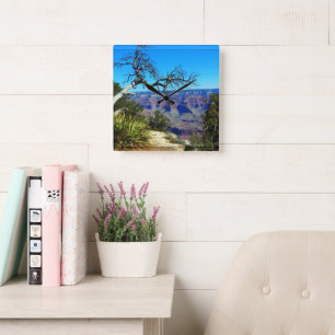 Grand Canyon Square Wall Clock