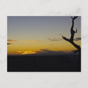 Grand Canyon Sunset Postcard