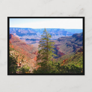 grand canyon tree border postcard
