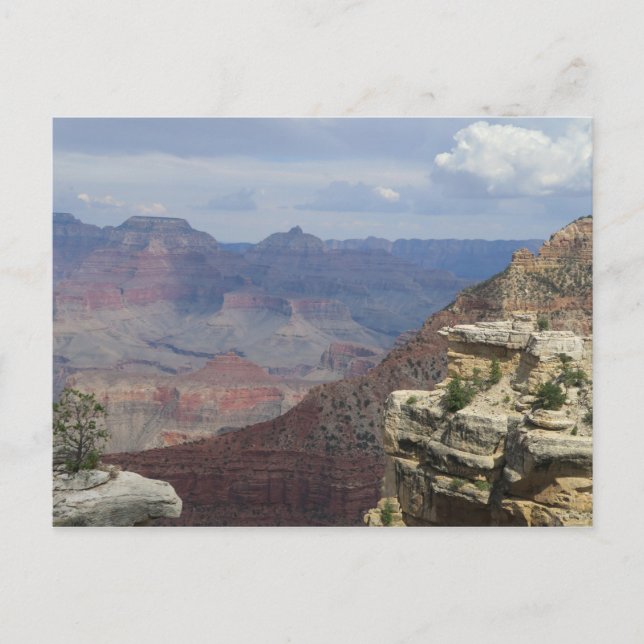 Grand Canyon USA Postcard (Front)