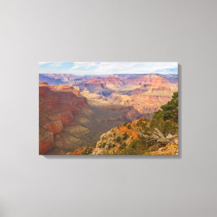 Grand Canyon View Canvas Print