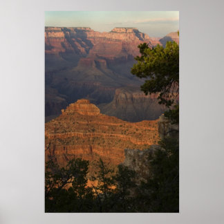 Grand Canyon View Poster