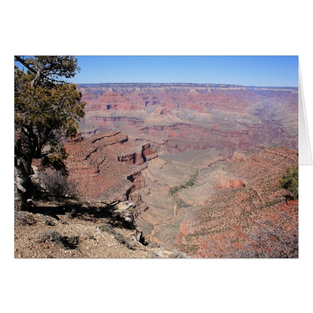 Grand Canyon Views (Front Horizontal)