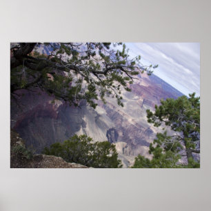 Grand Canyon Vista 14 Poster