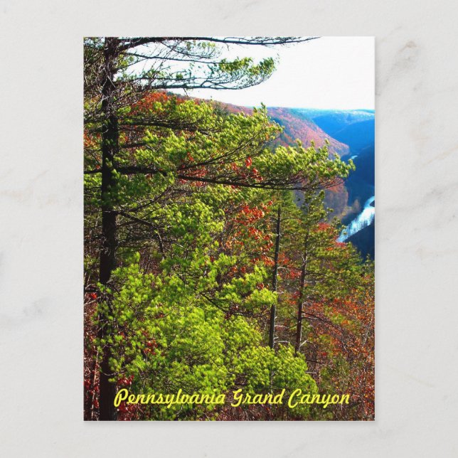 Grand Canyon , Wellsboro Pa Postcard (Front)