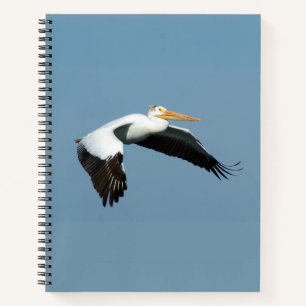 Grand carnet blanc pélican