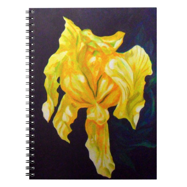 Grand CARNET d'iris jaune (Devant)