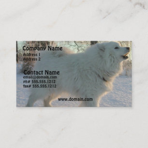 Grand carte de visite de Pyreneees