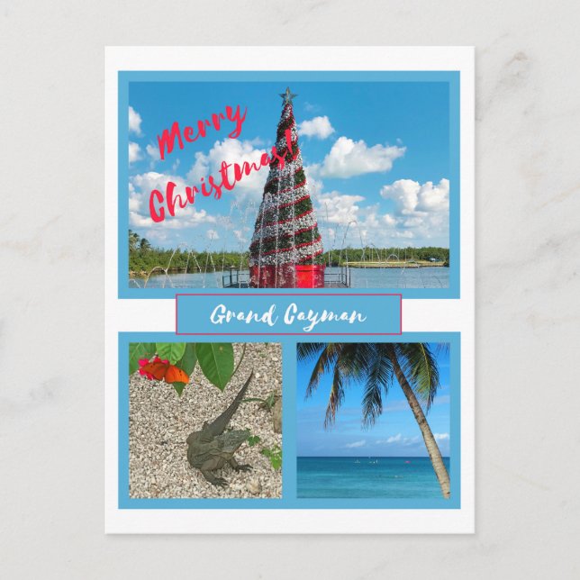 Grand Cayman Christmas Holiday Postcard (Front)
