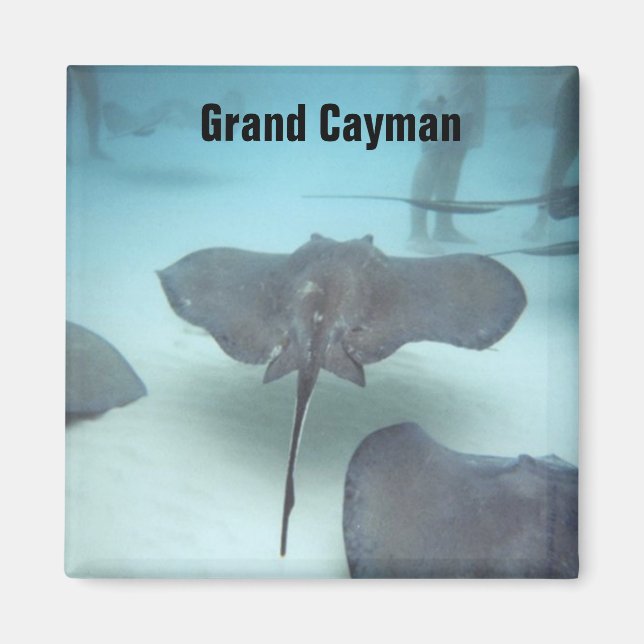 Grand Cayman Island magnet (Front)