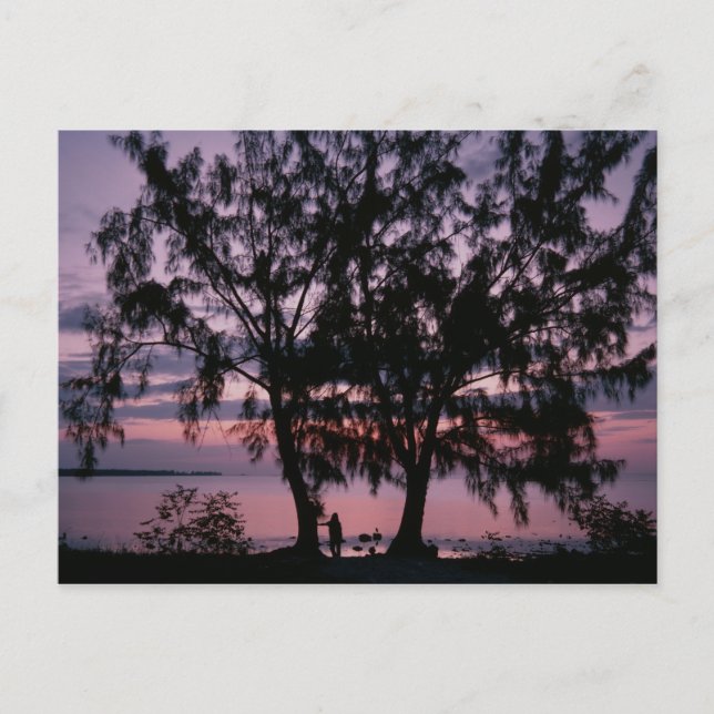 Grand Cayman Sunrise Postcards (Front)