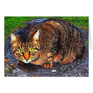 Grand chat tigré