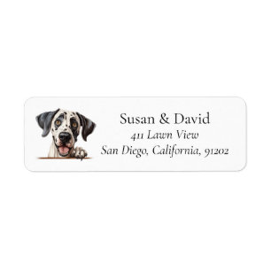 Grand Chien de race Dane Amateurs d'animaux domest