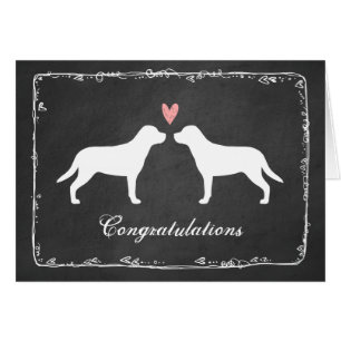 Grand Chiens de montagne de Suisse - Félicitations