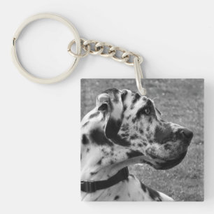 GRAND DANE