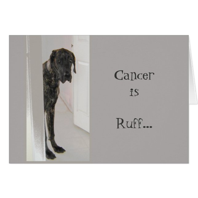 Grand Danse de chien animal Divorce Cancer Je suis (Devant horizontal)
