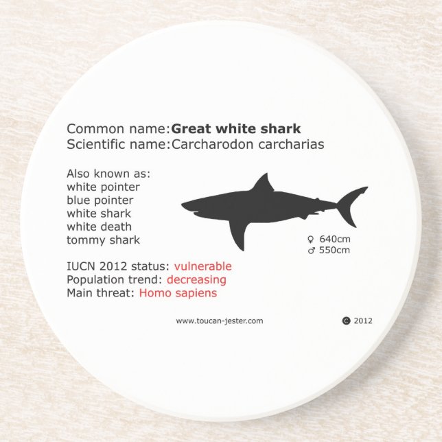 Grand dessous de verre de requin blanc (Devant)