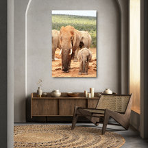 Grand frère petit frère éléphant toile encadrée