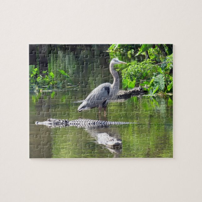 Grand Héron Bleu et Alligators Puzzle (Horizontal)