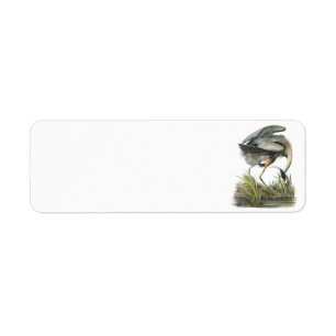 Grand héron bleu par Audubon