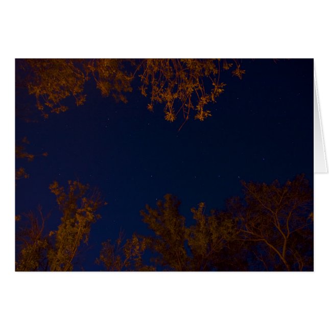 Grand huit (Devant horizontal)