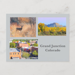 Grand Junction, Colorado Carte postale Voyage Modè