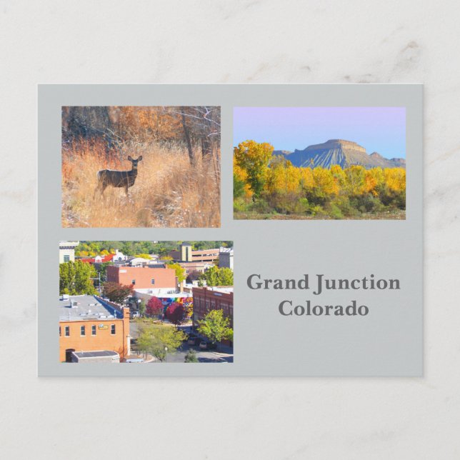 Grand Junction, Colorado Carte postale Voyage Modè (Devant)
