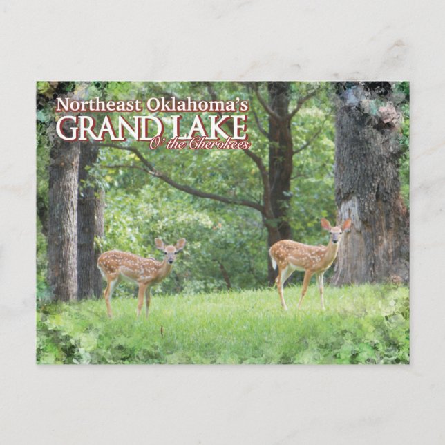 Grand Lake Oklahoma post card deer (Front)