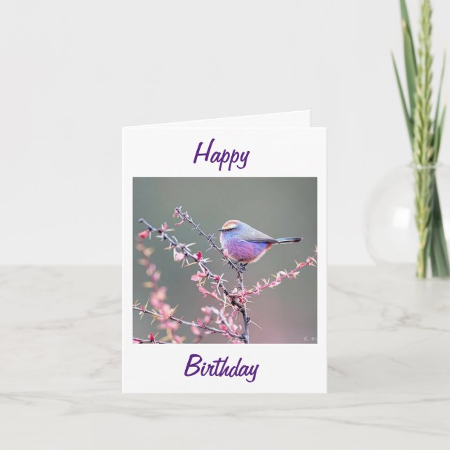 GRAND-MÈRE SUR VOTRE CARTE D'ANNIVERSAIRE (WARBLER (Devant)