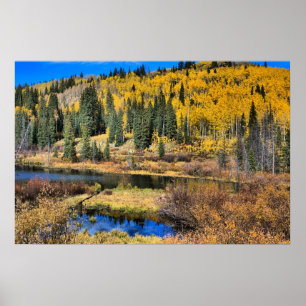 Grand Mesa in Autumn, Western Colorado Poster