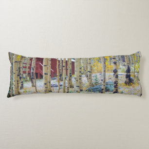 Grand Mesa Solitary cabin in a forest Body Pillow