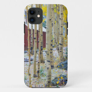 Grand Mesa Solitary cabin in a forest iPhone 11 Case