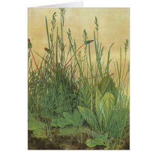 Grand morceau de gazon