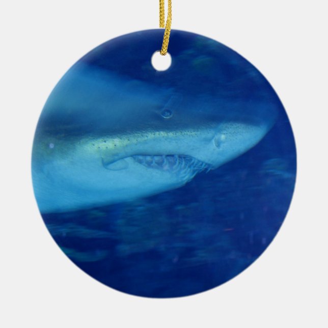 Grand ornement de requin blanc (Devant)