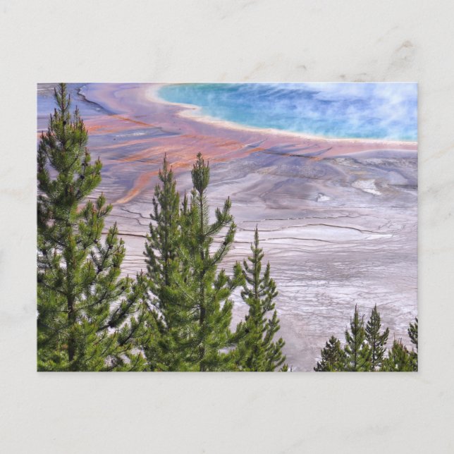 Grand Prismatic Overlook Postcard (Front)