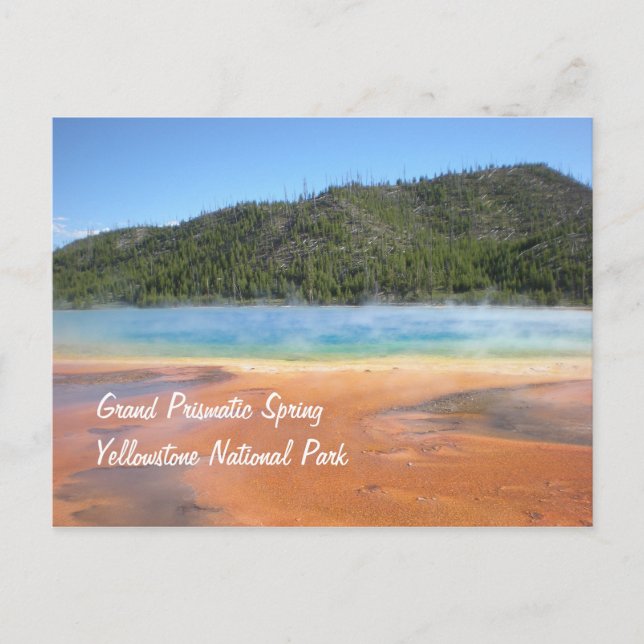 Grand Prismatic Spring Postcard (Front)